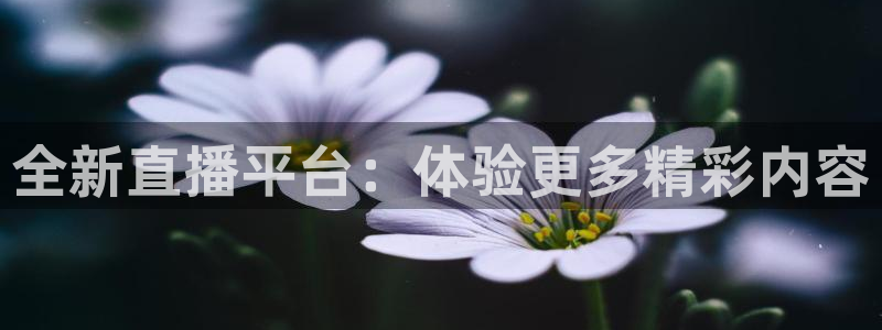 nba鲸鱼体育：全新直播平台：体验更多精彩内容