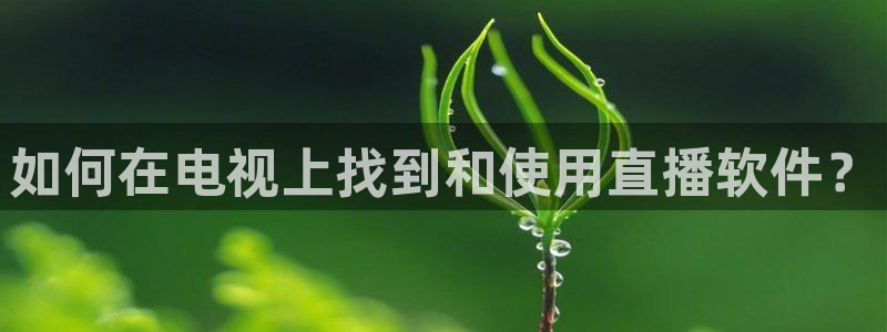 鲸鱼体育直播app官网下载：如何在电视上找到和使用直播软件？